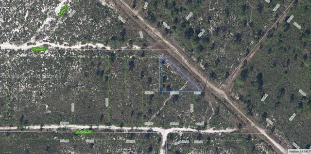 536 Nevada Avenue, Lake Placid, FL 33852