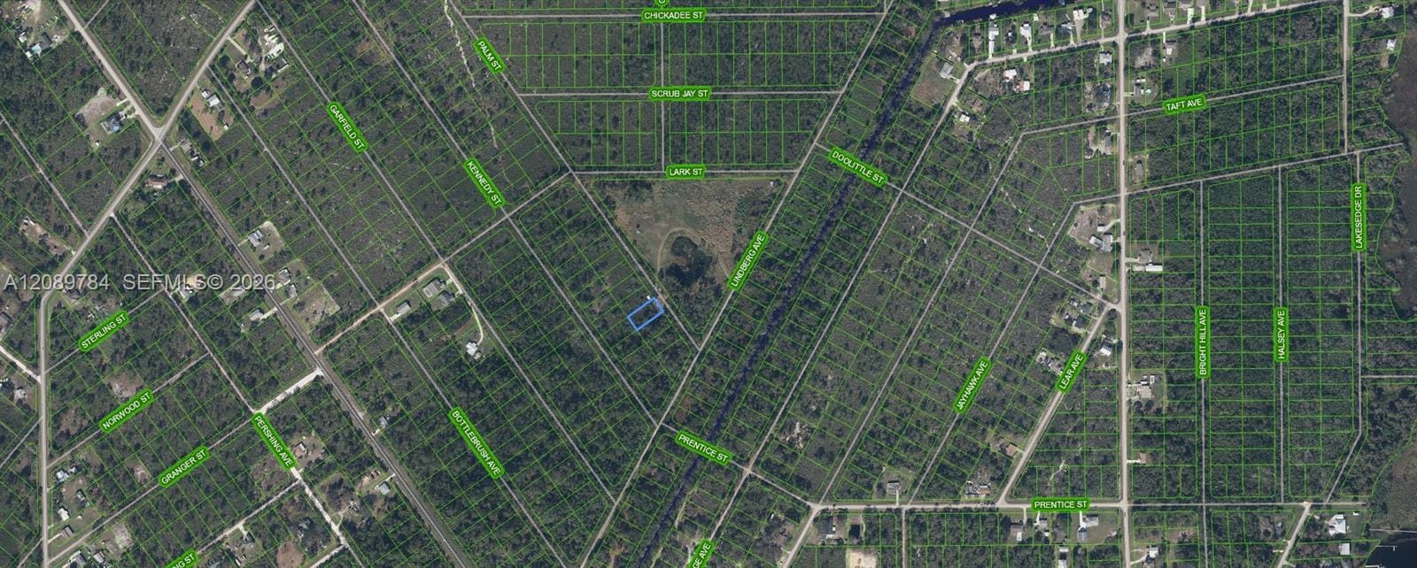 546 Palm Street, Lake Placid, FL 33852 photo 2