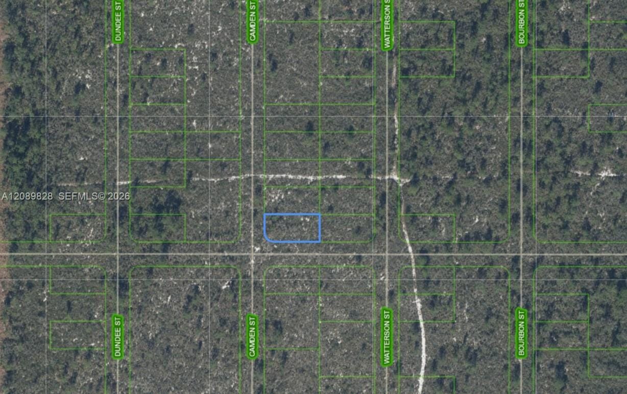 701 Camden Street, Lake Placid, FL 33852 photo 4