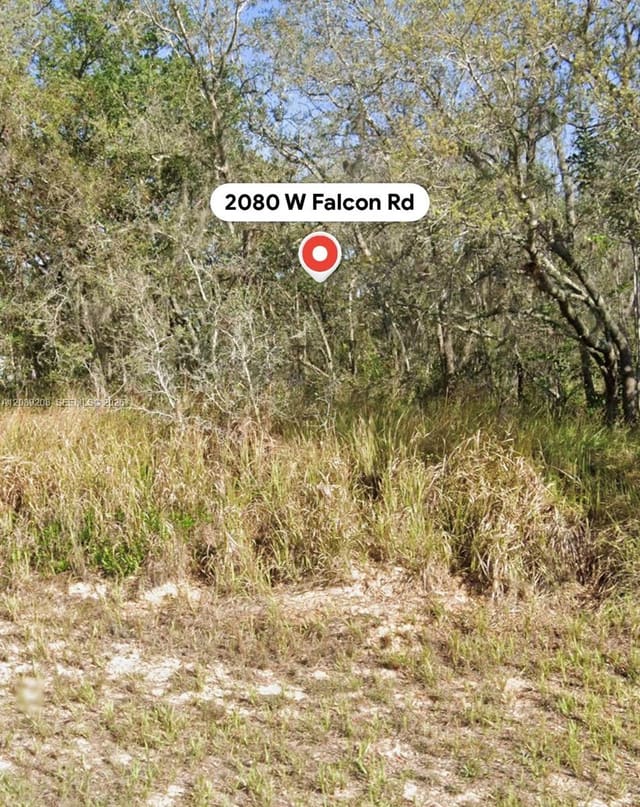 2080 W Falcon Road, Avon Park, FL 33825