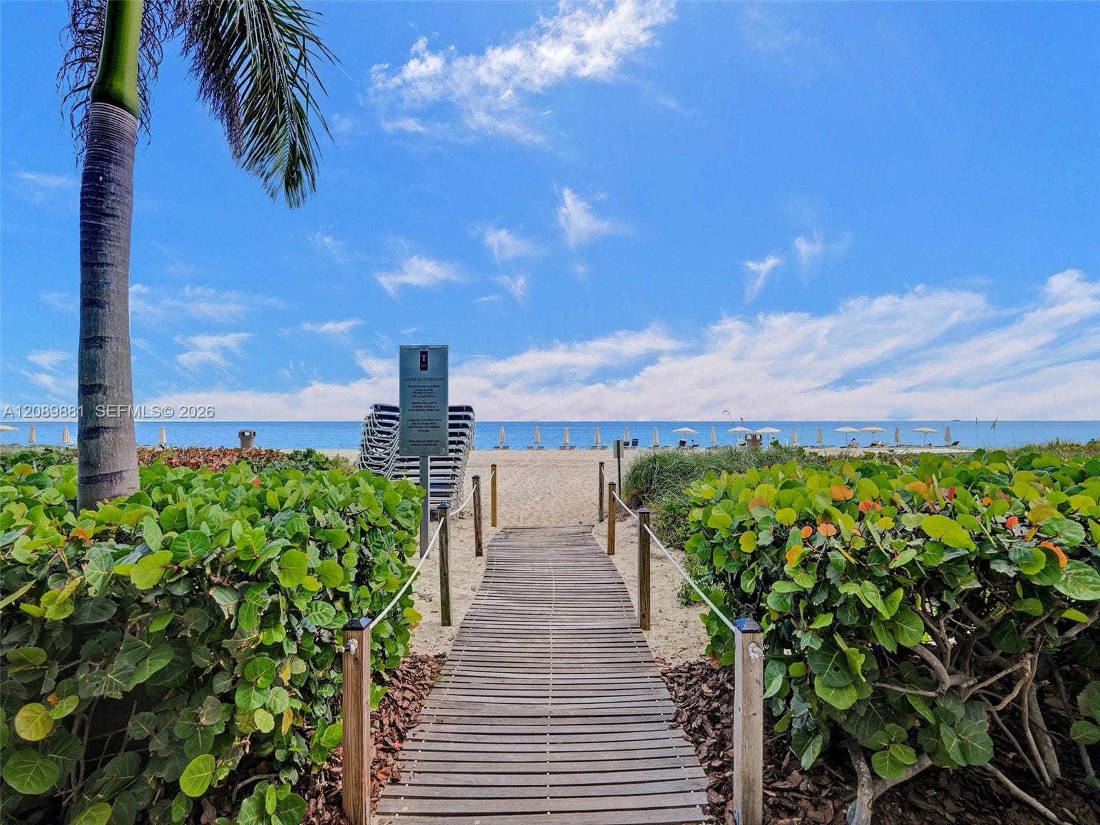 15901 Collins Avenue 603 — photo 6