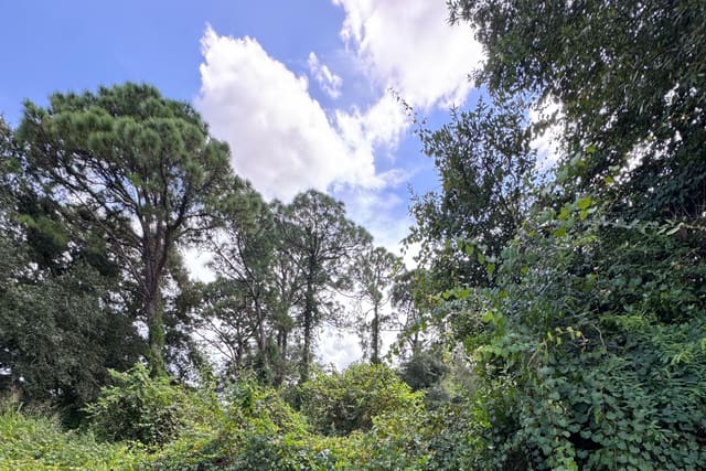 6801 Deland Avenue, Fort Pierce, FL 34951