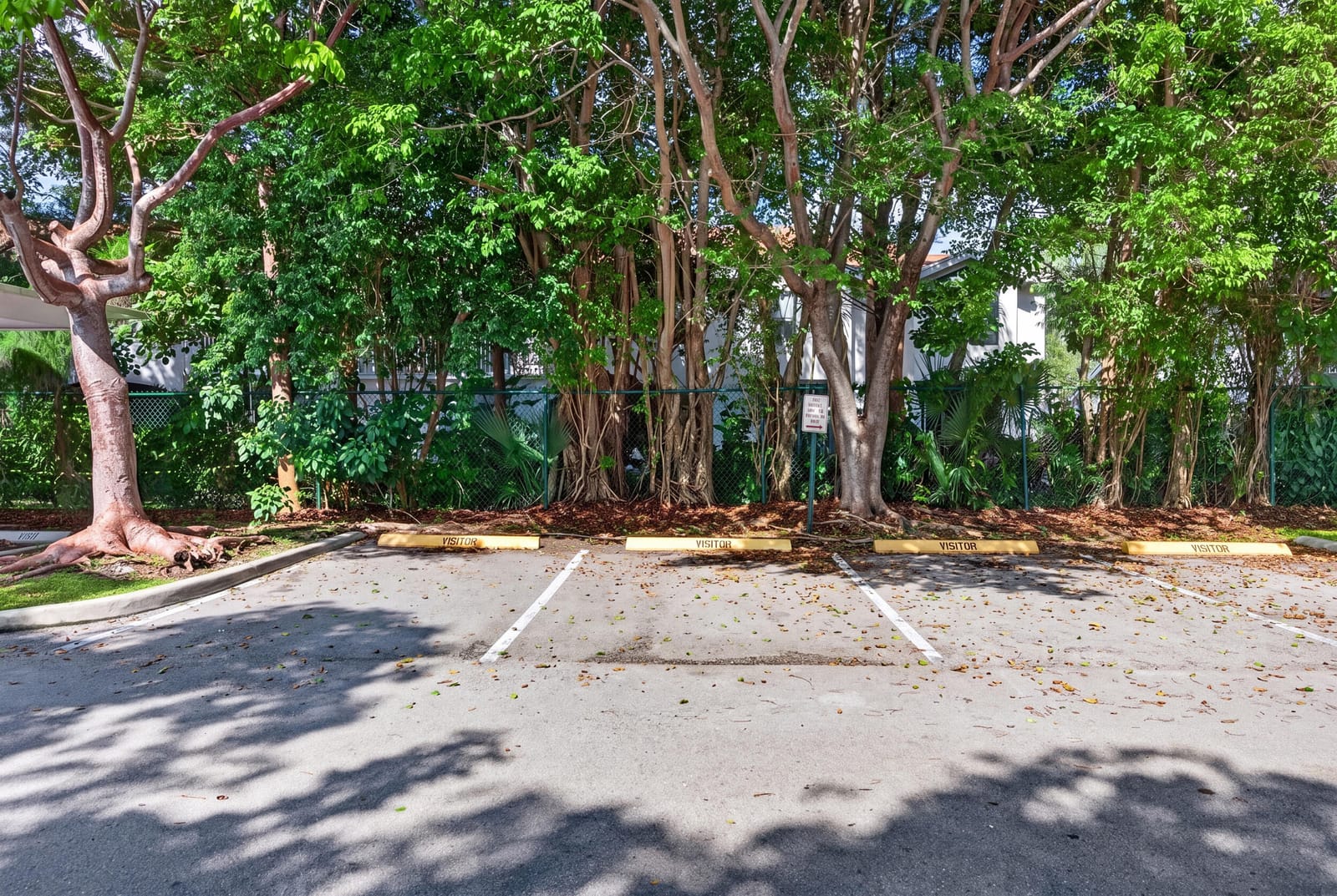10765 CLEARY Boulevard 307, Plantation, FL 33324 photo 27