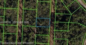 718 Neale Street, FL 33852 photo 1
