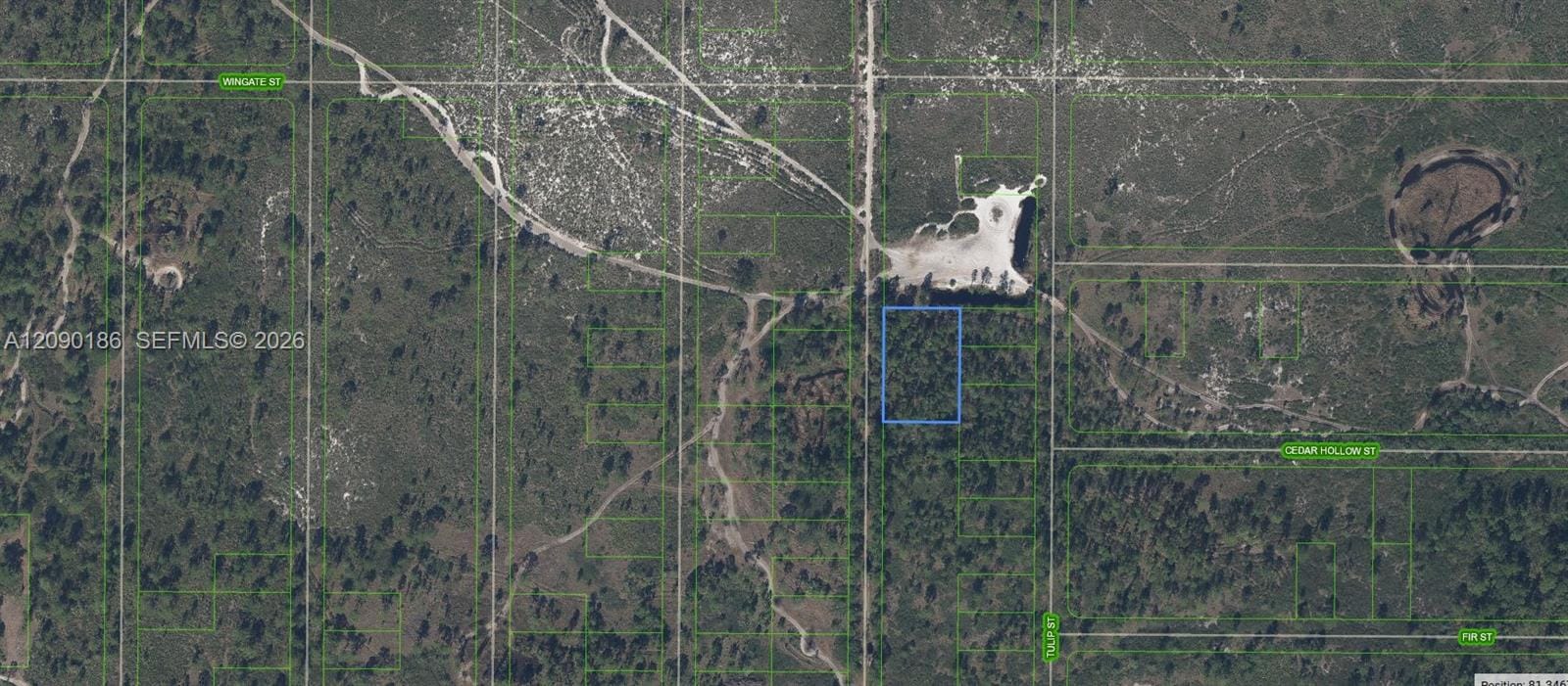 881 Papaya Street, Lake Placid, FL 33852 photo 1
