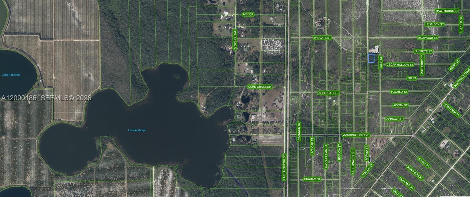 881 Papaya Street, Lake Placid, FL 33852 photo 2