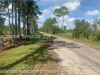 881 Papaya Street, Lake Placid, FL 33852 photo 4