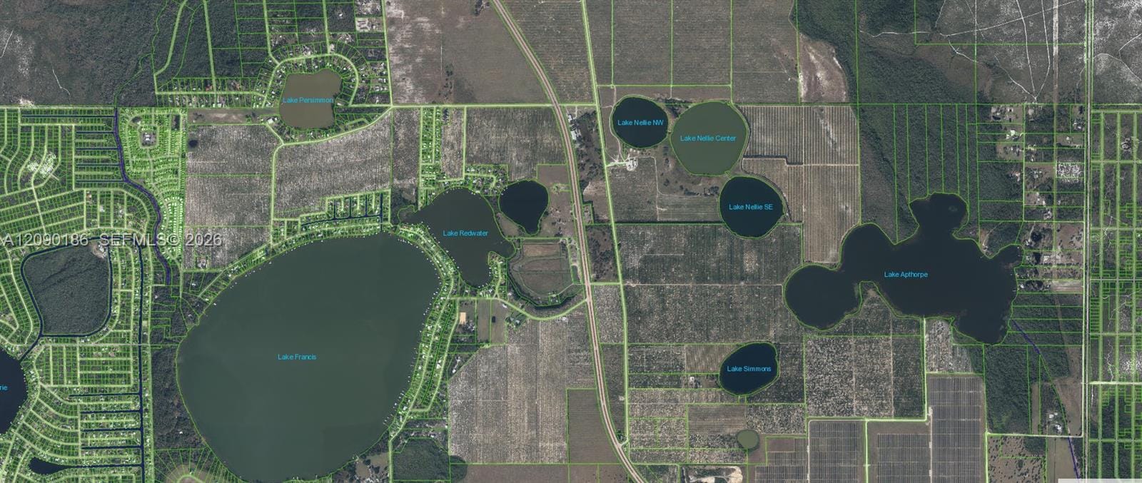 881 Papaya Street, Lake Placid, FL 33852 photo 5