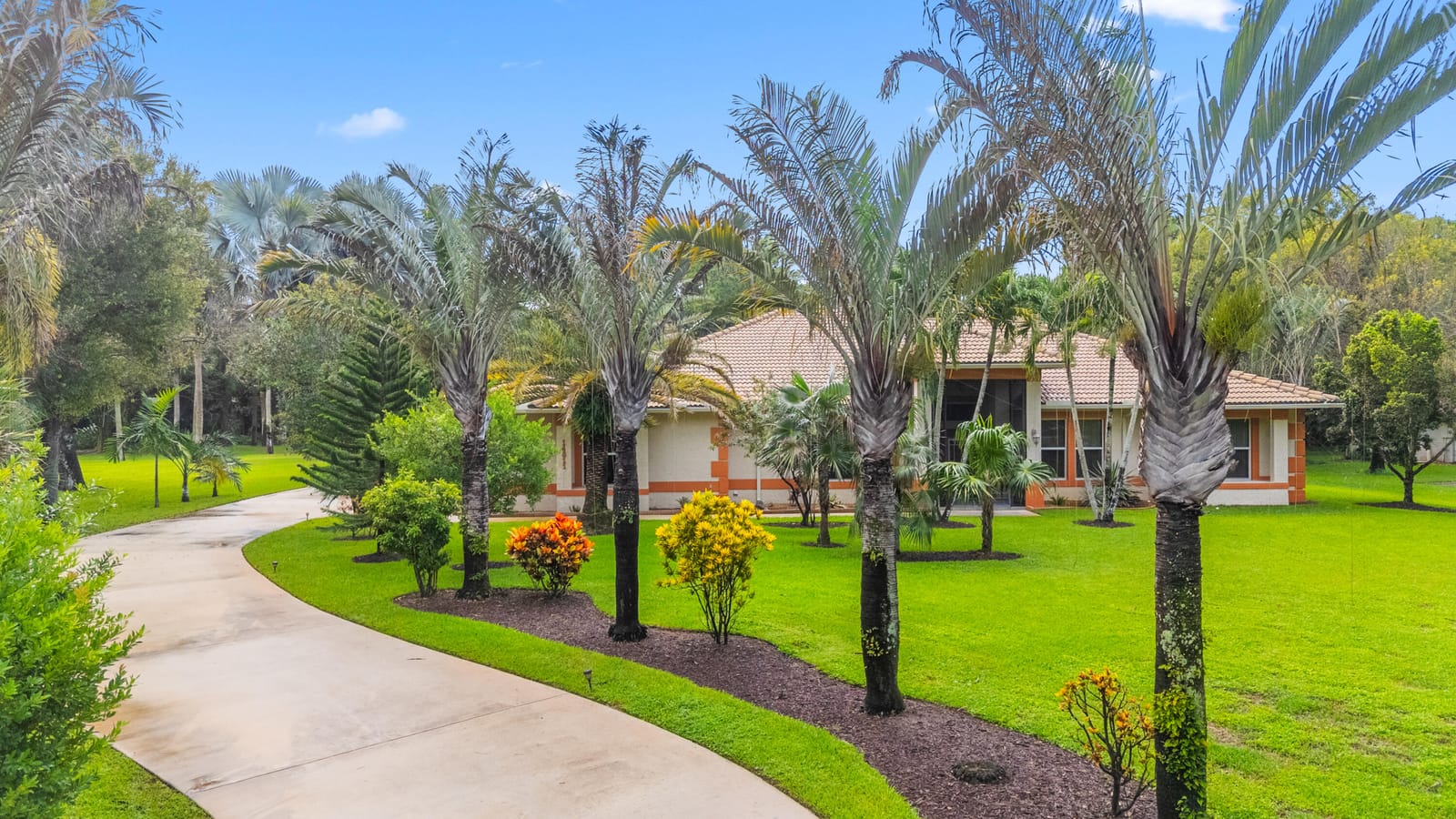 14811 Horseshoe Trace — photo 4
