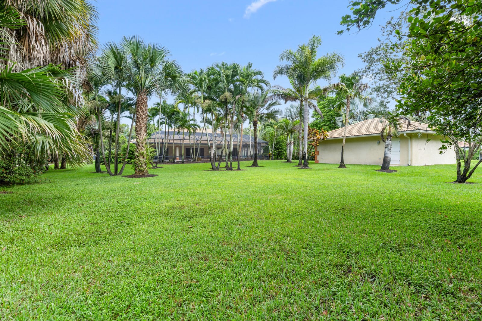 14811 Horseshoe Trace — photo 7