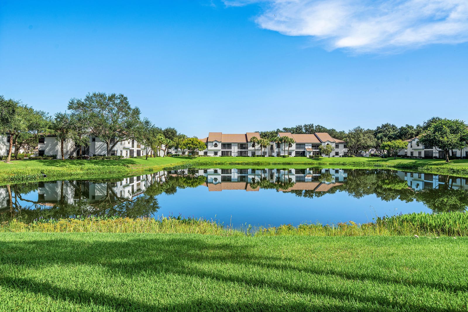 5439 Verona Drive P, Boynton Beach, FL 33437 photo 3