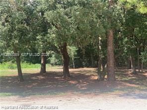 2326 W Barben Road, Avon Park, FL 33825 photo 2