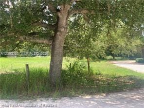 2326 W Barben Road, Avon Park, FL 33825 photo 18