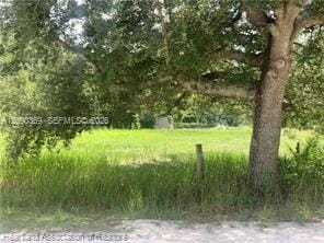 2326 W Barben Road, Avon Park, FL 33825 photo 19