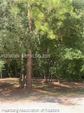 2326 W Barben Road, Avon Park, FL 33825 photo 22