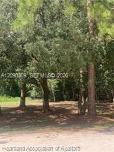 2326 W Barben Road, Avon Park, FL 33825 photo 24