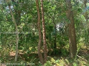 2326 W Barben Road, Avon Park, FL 33825 photo 25