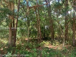 2326 W Barben Road, Avon Park, FL 33825 photo 26