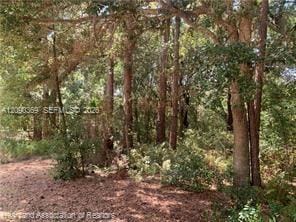 2326 W Barben Road, Avon Park, FL 33825 photo 27