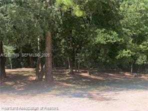 2326 W Barben Road, Avon Park, FL 33825 photo 4