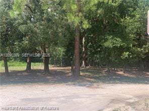 2326 W Barben Road, Avon Park, FL 33825 photo 5