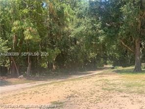 2326 W Barben Road, Avon Park, FL 33825 photo 6