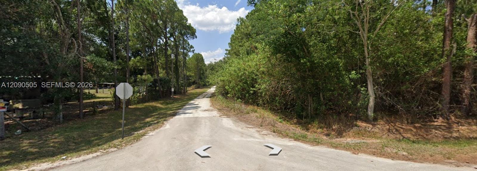 3175 W Foli Road, Avon Park, FL 33825 photo 4