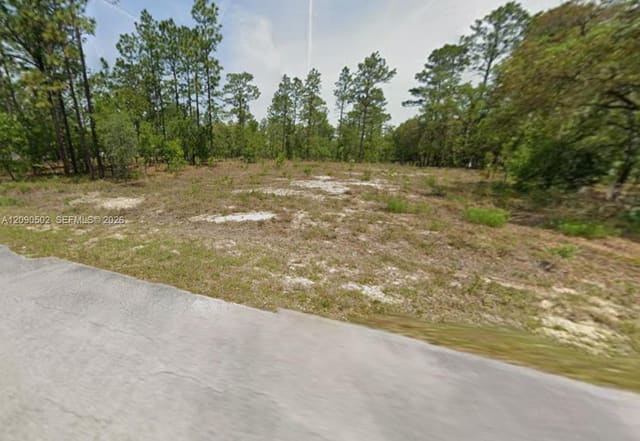 00 NW Geranium Avenue, FL 34431