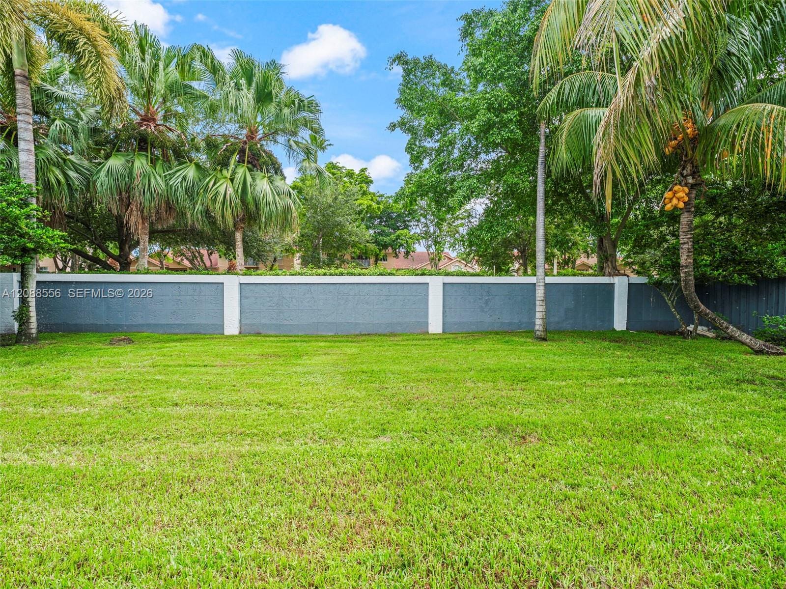 15822 SW 103rd Lane, Miami, FL 33196 photo 16