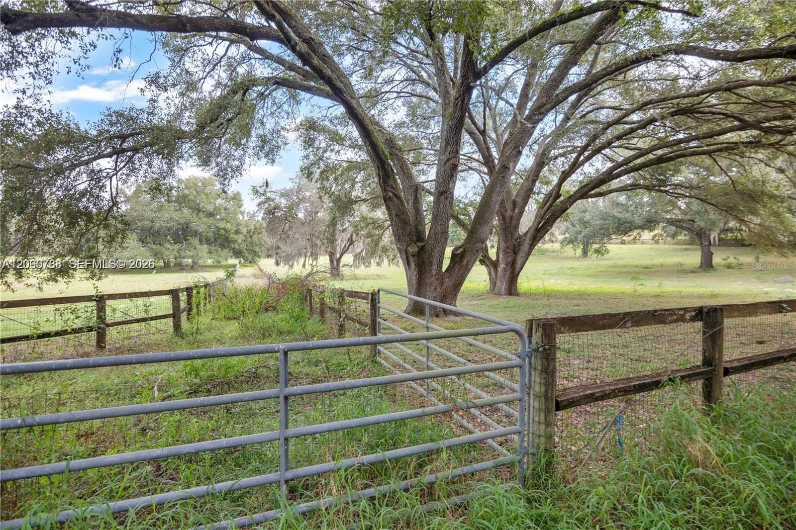 0 Rolling Acres Road, FL 34731 photo 2