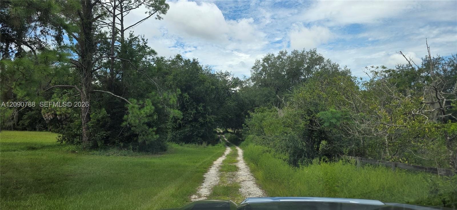 0 Rolling Acres Road, FL 34731 photo 7