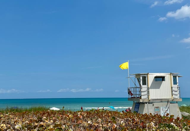 9868 SE SHARON Street, Hobe Sound, FL 33455