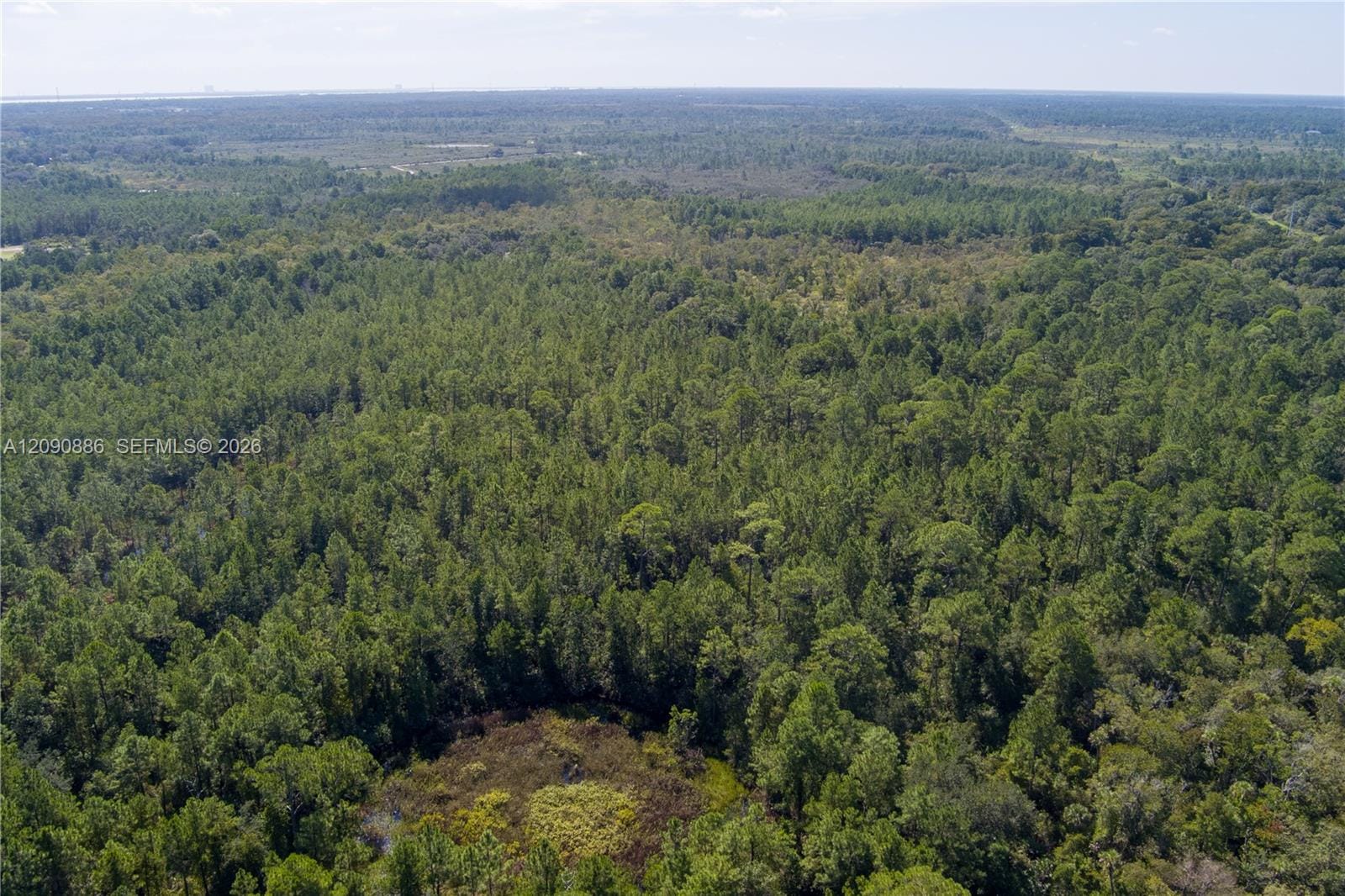 N/A N/a N/a, Mims, FL 32754 photo 20