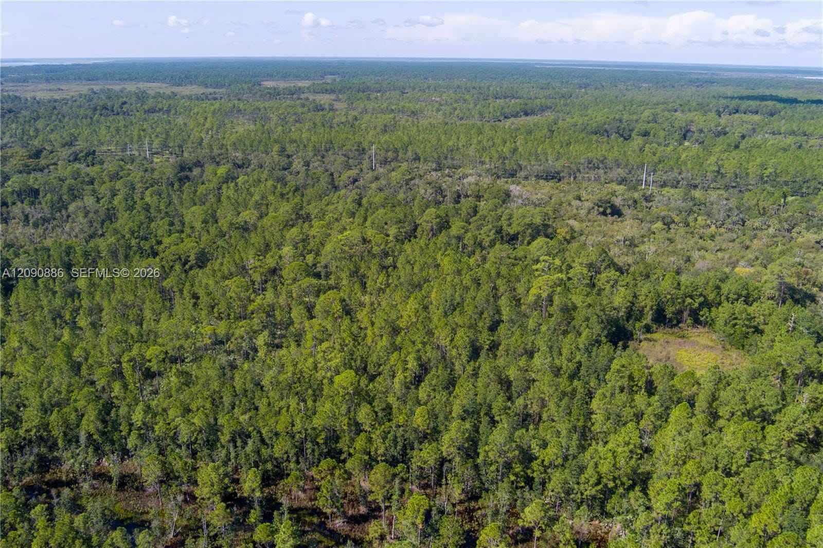 N/A N/a N/a, Mims, FL 32754 photo 24