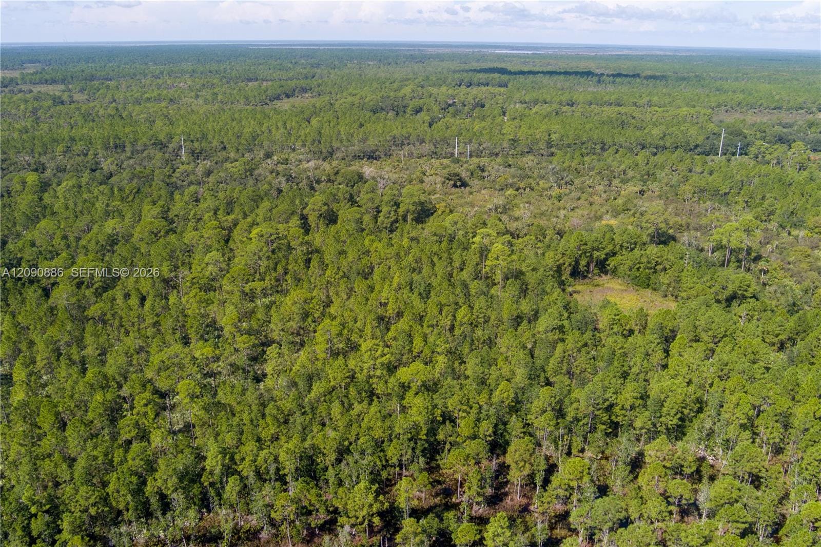 N/A N/a N/a, Mims, FL 32754 photo 25