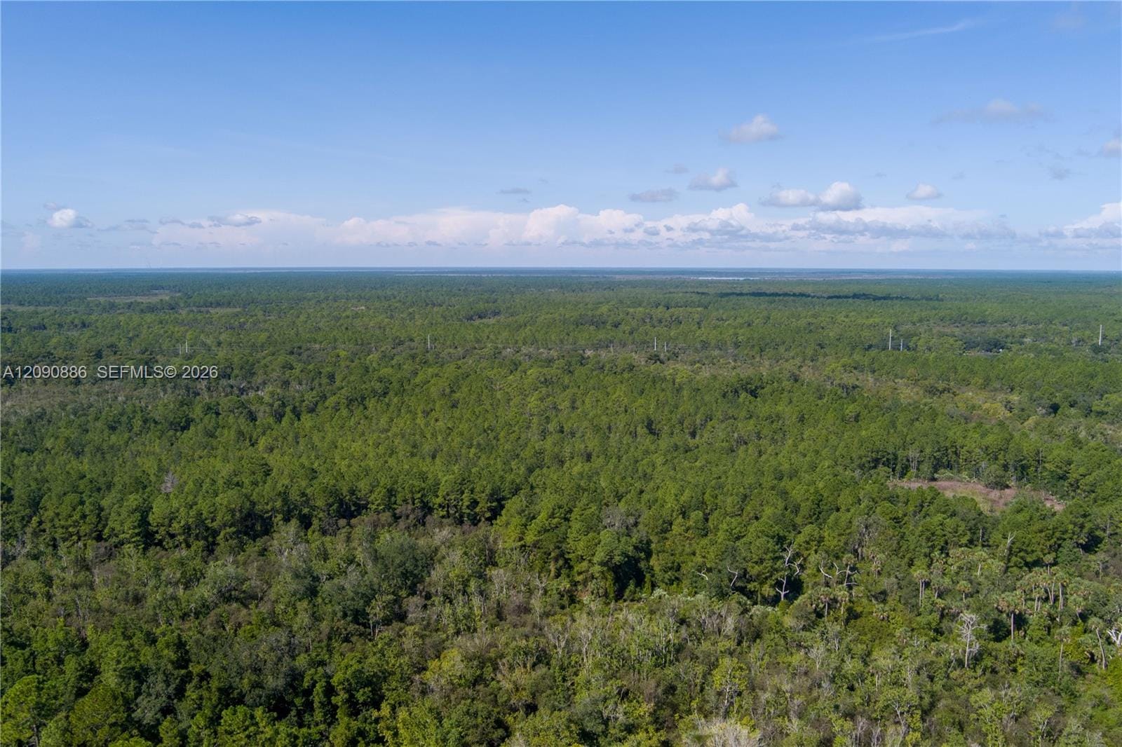 N/A N/a N/a, Mims, FL 32754 photo 26