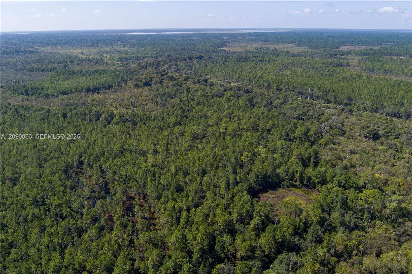 N/A N/a N/a, Mims, FL 32754 photo 6