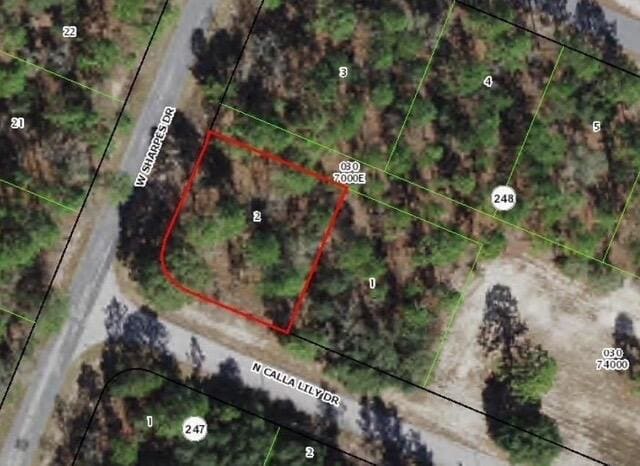9735 N CALLA LILY Way, Dunnellon, FL 34433