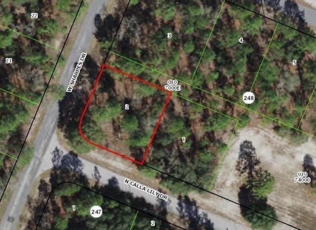 9735 N CALLA LILY Way, Dunnellon, FL 34433 photo 1