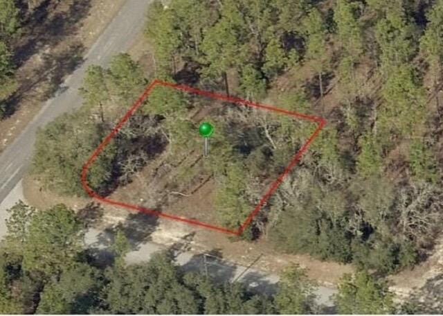 9735 N CALLA LILY Way, Dunnellon, FL 34433 photo 2