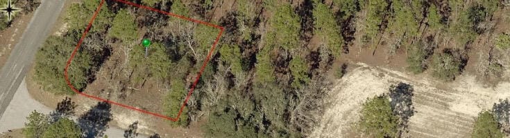 9735 N CALLA LILY Way, Dunnellon, FL 34433 photo 3