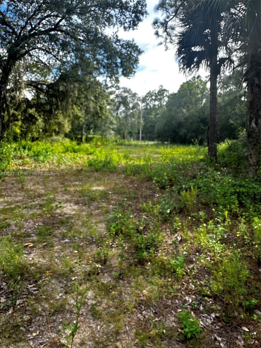 123 Pine Lake Avenue — photo 11