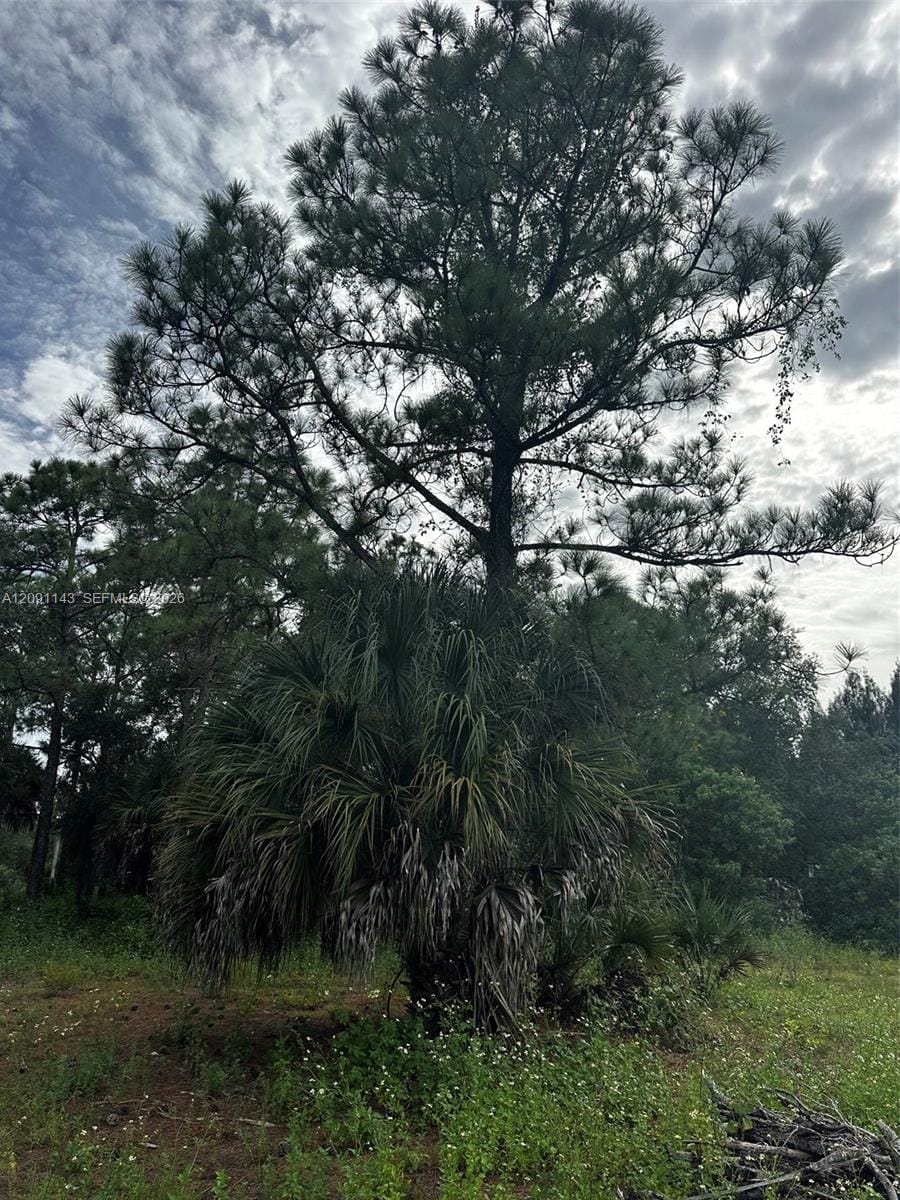 123 Pine Lake Avenue, Clewiston, FL 33440 photo 15