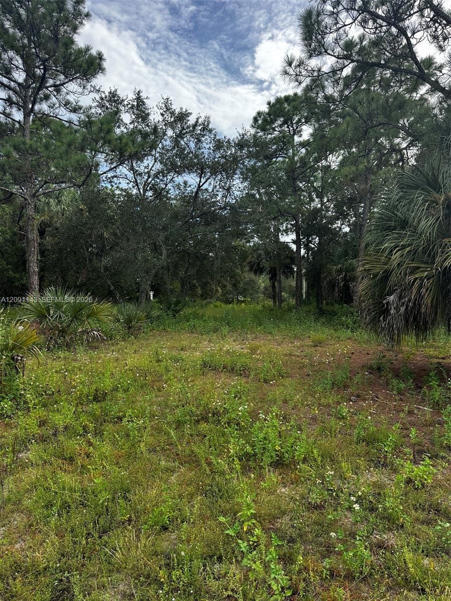 123 Pine Lake Avenue, Clewiston, FL 33440 photo 16