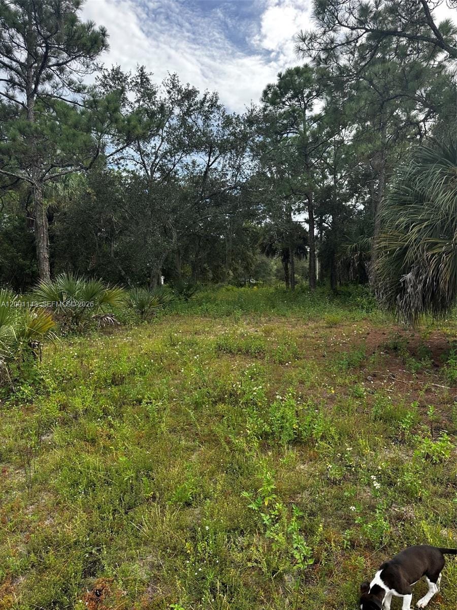 123 Pine Lake Avenue, Clewiston, FL 33440 photo 17