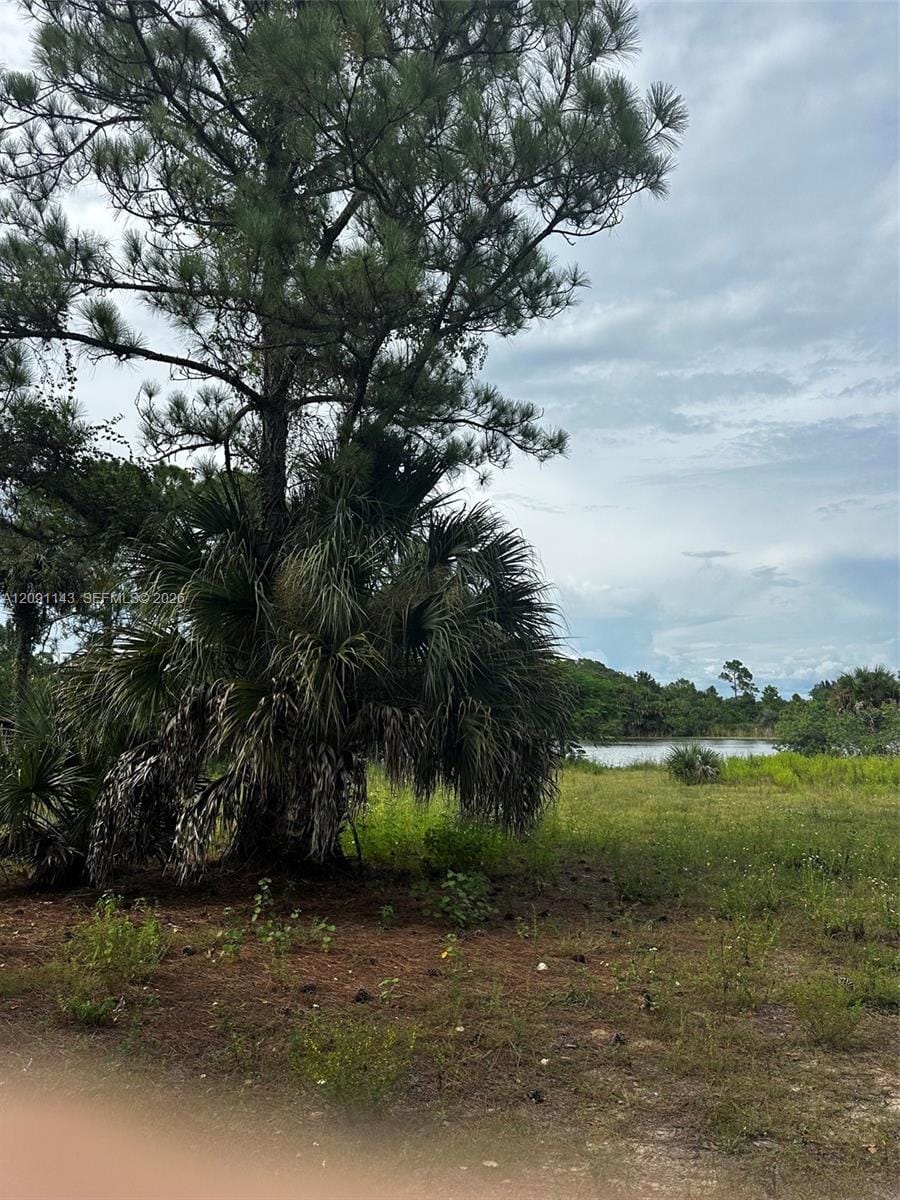 123 Pine Lake Avenue, Clewiston, FL 33440 photo 19