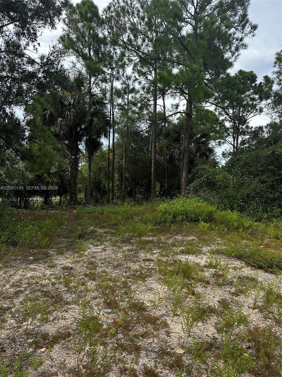 123 Pine Lake Avenue, Clewiston, FL 33440 photo 20