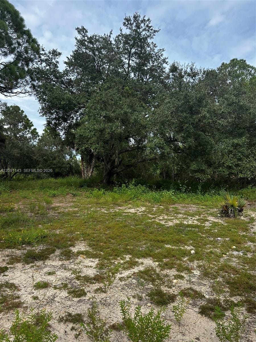 123 Pine Lake Avenue, Clewiston, FL 33440 photo 21