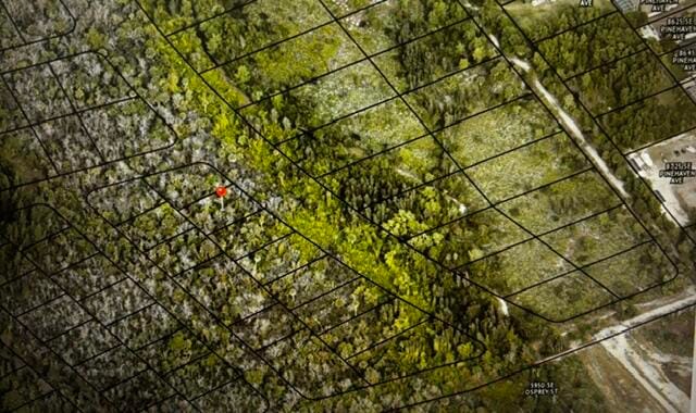 000 Unassigned Poinciana Gardens — photo 2