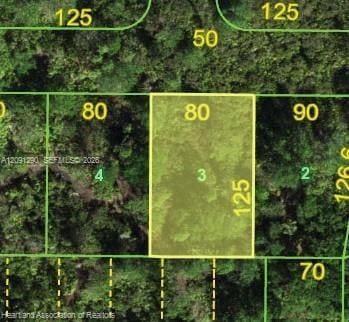 5231 Jacaranda Drive, Punta Gorda, FL 33982